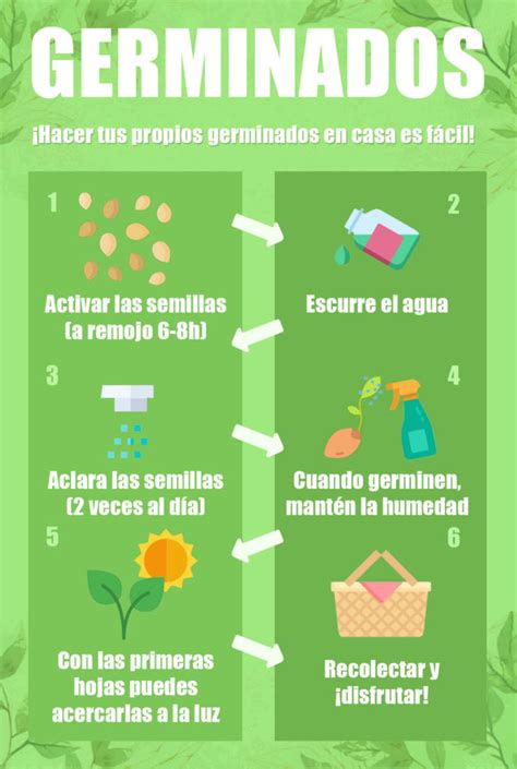 Infografia Beneficios De Los Germinados Alimentos Saludables Porn Sex