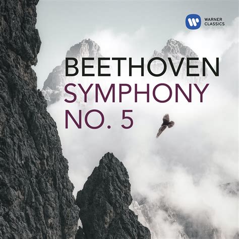 Marcin Patrzalek Beethoven's 5th Symphony 12