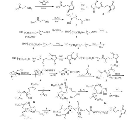 DSPE PEG MAL的合成路线 技术文章 西安凯新生物科技有限公司