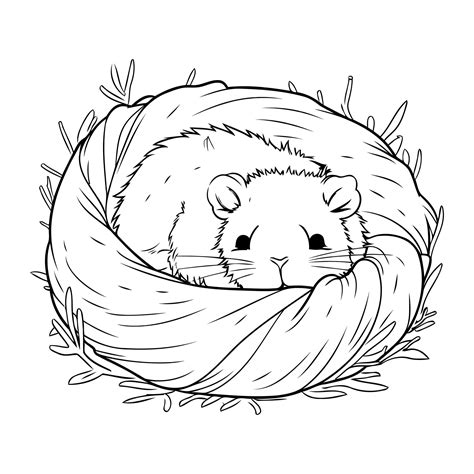 guide to hamster sleeping too much without vet 4