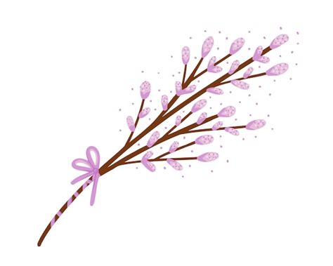 Premium Vector Pussy Willow Branch Easter Bouquet Blossom Pussy Willow Tree Illustration
