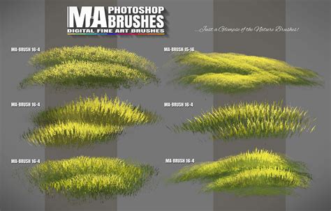 Concept Art And Photoshop Brushes Photoshop Foliage Grass Tree Leave Brushe Pack Ma