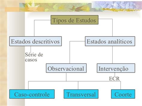 Tipos De Estudo