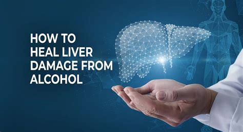 How To Heal Liver Damage From Alcohol Naturally