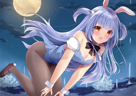 bunny girl, cleavage, looking at viewer, hands on knees, long hair ...