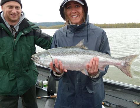 Columbia River Sport Salmon Fishing Extended Oregonlive