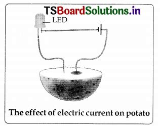 TS 8th Class Physical Science Important Questions 9th Lesson Electrical