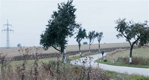 Extreme Wide Shot A Guide To Shot Sizes For Filmmakers