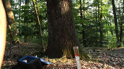 Nude Outdoor Smoking And Coughing Sophie Ladder Clips Sale