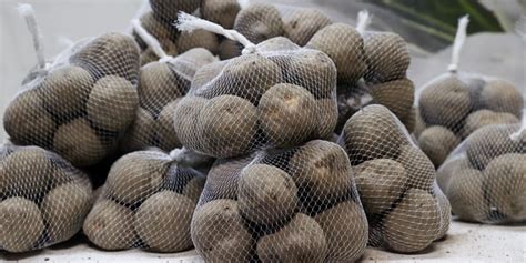 В России могут запретить продавать картофель, другие овощи и фрукты в ...