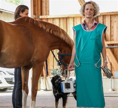 Pferdepraxis Dr. Ziermann