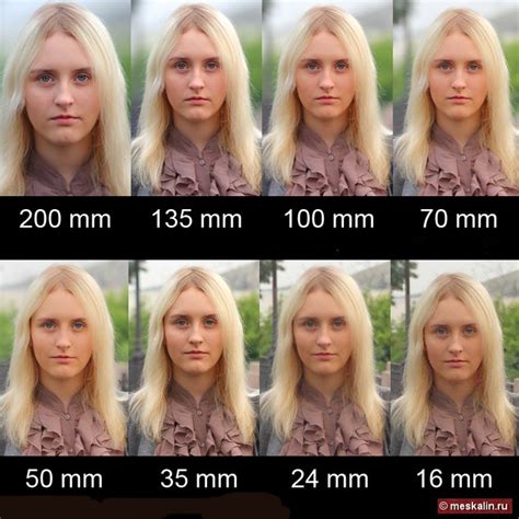 Виды Фотографий С Примерами – Telegraph