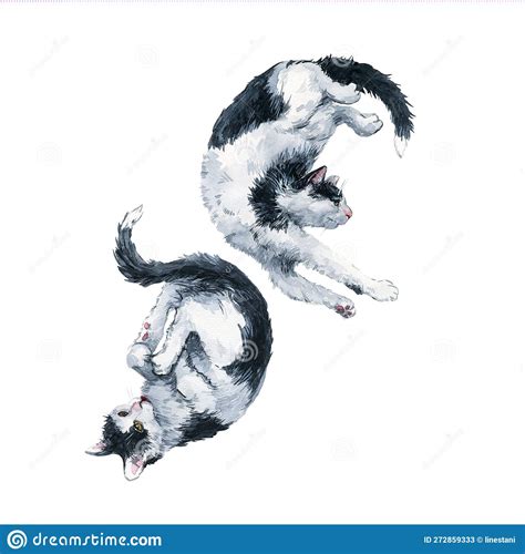 Duet Of Bicolor Black And White Cats Harmony Composition Watercolor