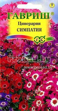 Купить семена Цинерарии гибридной Симпатия, смесь почтой по Беларуси в ...