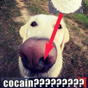 Pussy Playlist By St Spotify