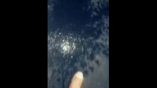 Aleigha James S Porn Videos Pornhub