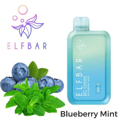 Best Elf Bar Blueberry Mint Bc Puffs Disposable Vape Tugboat Dubai