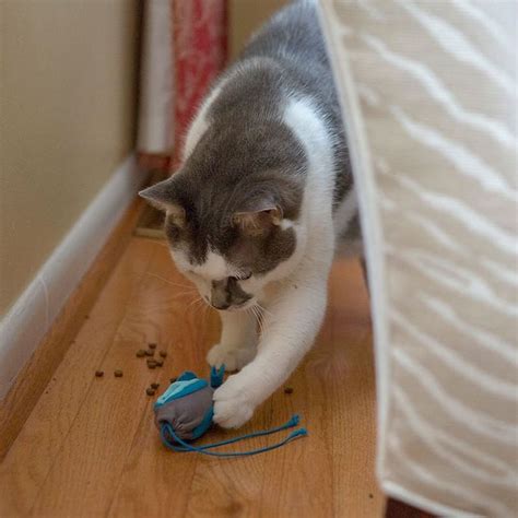Игрушка-кормушка для кошек купить и цена | Goodsi.ru