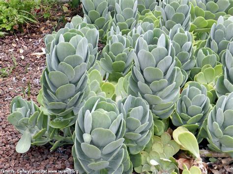 Travels: Peter Lapshin's photo albums