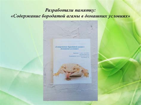 Содержание бородатой агамы в домашних условиях - презентация онлайн