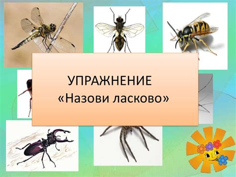 Насекомые (для дошкольников) - online presentation