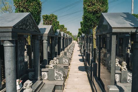 Photograph Of Martyrs In The Tombstone Cemetery Of Qingming Dynasty