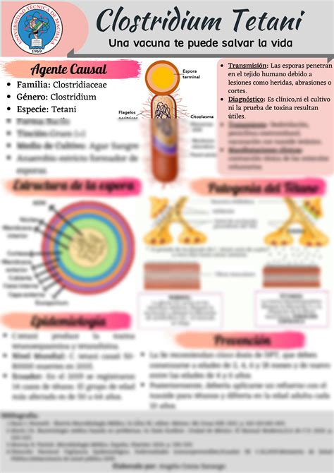 SOLUTION Clostridium Tetani Studypool