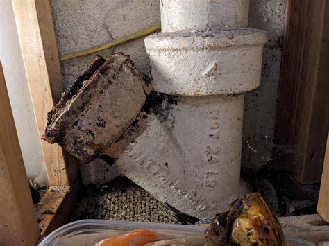 The historic dreisingers funeral artifacts discovered in the basement 10