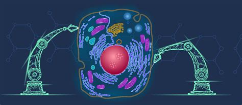 The Global Synthetic Biology Conference 2020