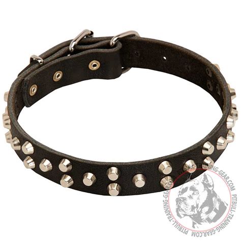 Buy Studded Leather Dog Collar | Pitbull Gear | Walking Training