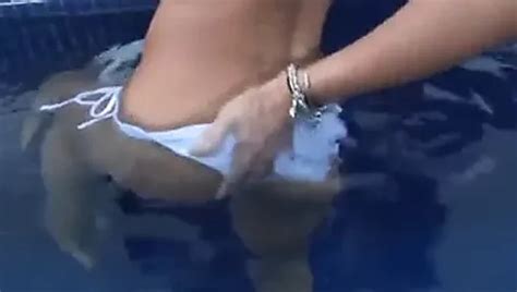 Dionne Daniels Porn Videos 2024 Porn Star Sex Scenes XHamster