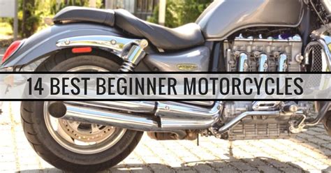 14 Best Beginner Motorcycles For All Types Of Riders
