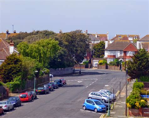 Hove Daily Photo Green Green Green