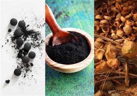 Surprising Coconut Charcoal Benefits For Gut Health And More
