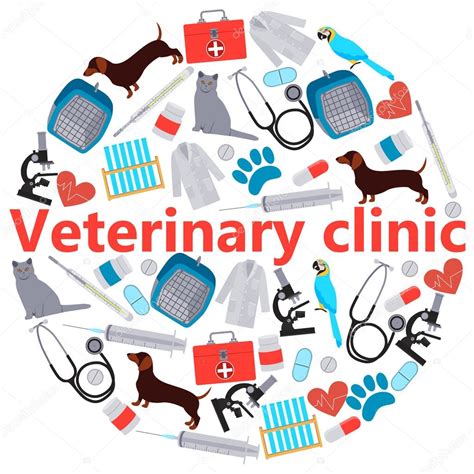 Veterinary Tools Charts Posters - vrogue.co