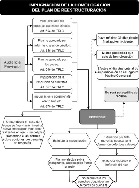 Esquema Sdobre La Impugnaci N De La Homologaci N Del Plan De