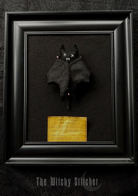 Chiroptera Felt Anatomy Biology Gothic Creepy Cute Etsy Australia