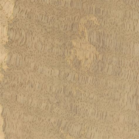 Mango | The Wood Database - Lumber Identification (Hardwood)