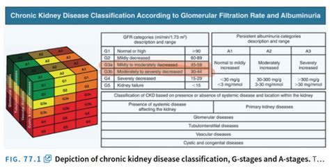 Renal Part What Mock Says Flashcards Quizlet