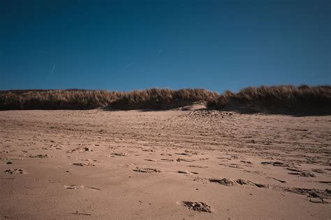 HD Wallpaper Soil Sand Outdoors Nature Dune Beach Netherlands