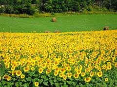 Mclane Eserve Login Employees Are Furious About This New Policy