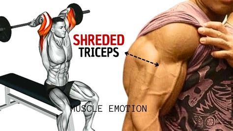 5 Best Tricep Exercises At Gym Youtube