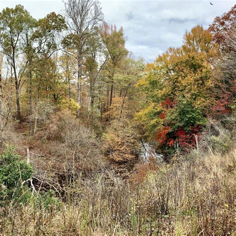 Panther Branch Natural Area - Eno River Association