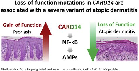 Loss Of Function Mutations In Caspase Recruitment Domain Containing