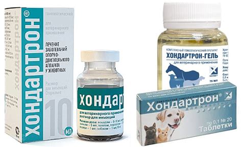 Ин-Ап комплекс для собак - инструкция, отзывы, цена | «Дай Лапу»