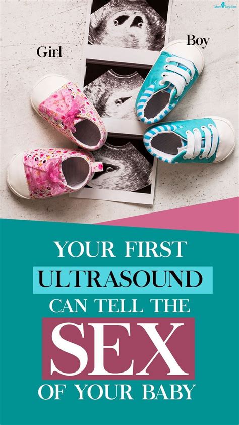 Your First Ultrasound Can Tell The Sex Of Your Baby Artofit