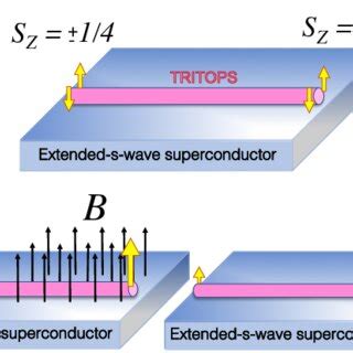 Pdf Entangled End States With Fractionalized Spin Projection In A