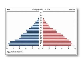 Sex Ratio And Mortality Ppt