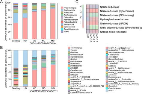 Microbial community structures at the phylum (A) and genus (B) level ... 