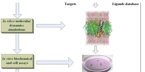 In Vitro In Vivo In Silico Journal Iiij Open Access Pub